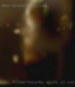 FilbertoCurbo sluts in corpus