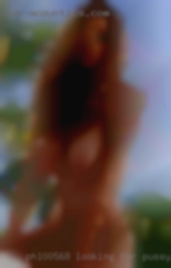PH100568 looking for pussy to fuck now
