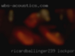 RicardBallinger239 Lockport